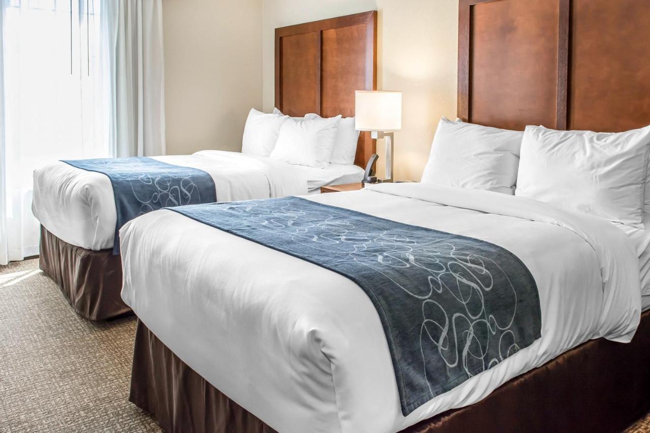 Comfort Suites Near Potomac Mills Woodbridge Exteriör bild
