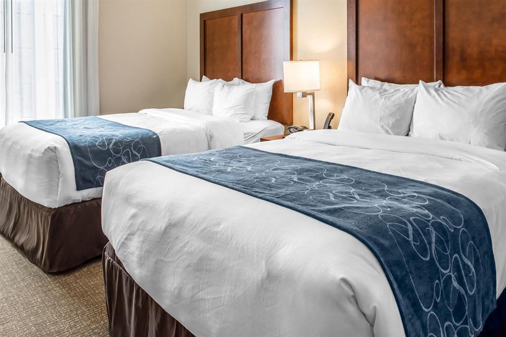 Comfort Suites Near Potomac Mills Woodbridge Exteriör bild